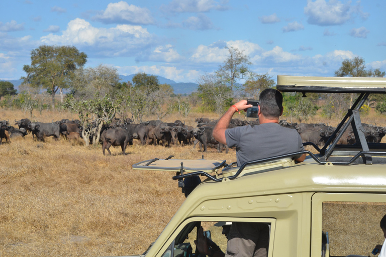 Depuis Zanzibar : Safari d&#039;une journée dans la réserve de Selous avec vol