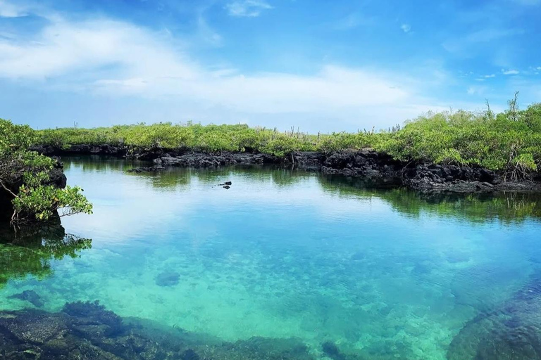 From Isabela Island: Tunnels Boat Tour and Snorkeling Trip