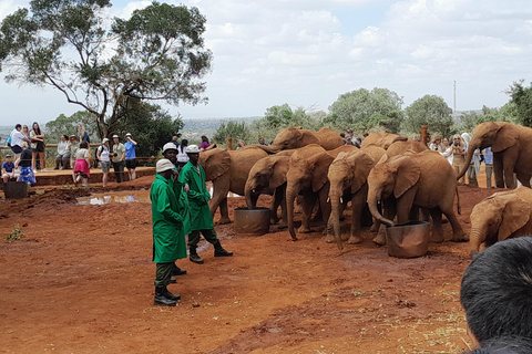 Giraffe, Elephant orphanage&amp; Bomas of Kenya Day Tour