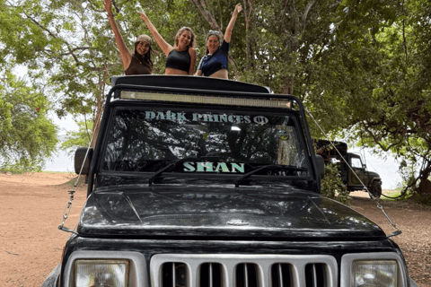 From Near Sigiriya: Kaudulla National Park Safari Tour Half Day Safari Tour