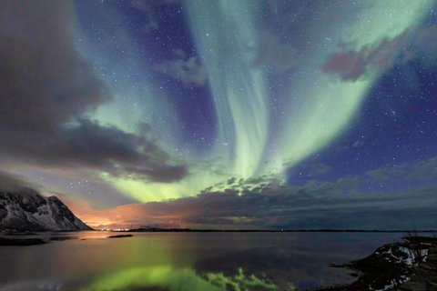 De Svolvær: Visita guiada à aurora boreal em uma van