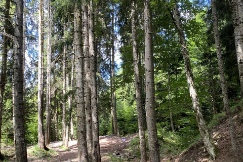 Dzama Gorge, Ortubani Monastery & Bateti Lake