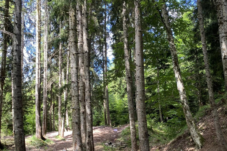 Dzama Gorge, Ortubani Monastery & Bateti Lake