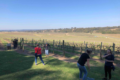 Depuis Haymarket : Excursion d&#039;une journée dans la Hunter Valley pour découvrir les vins et la faune