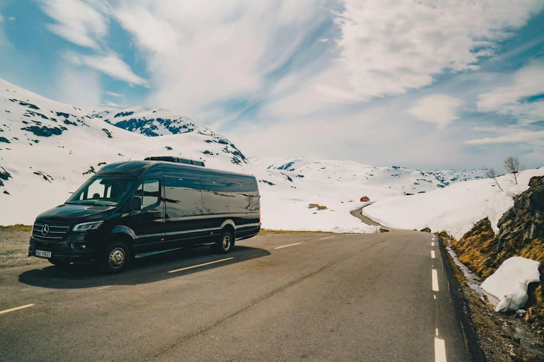 Bergen Day Winter Tour: Nærøyfjord Cruise, Flåm &amp; Stegastein