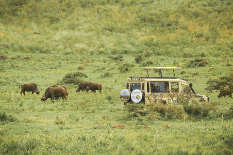 Lake Manyara NP e Cratera de Ngorongoro: Safári de 2 dias