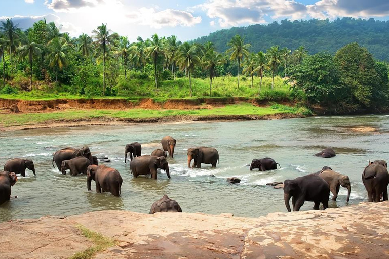 Sri Lanka: 5 Days Multi City Sightseeing Tour