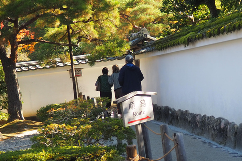 E-Bike Tour in Kyoto with Asuka, Japanese graduate student
