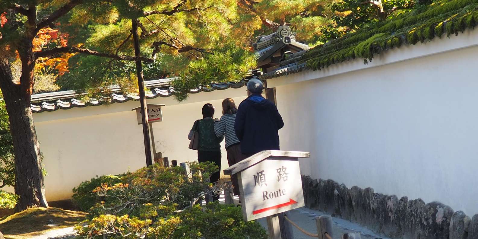 Kyoto experience — temples, geisha, bamboo grove — image 65