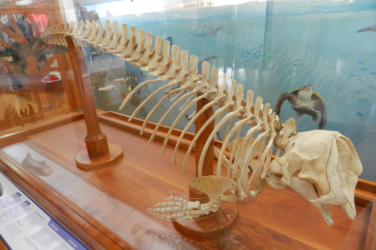 4-Day Galapagos Islands: Guided Tour Santa Cruz Island ENGLISH SPEAKING TOUR GUIDE