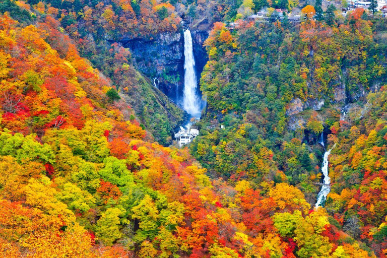 Tokyo: Nikko Luxury Private Day Tour with English guide