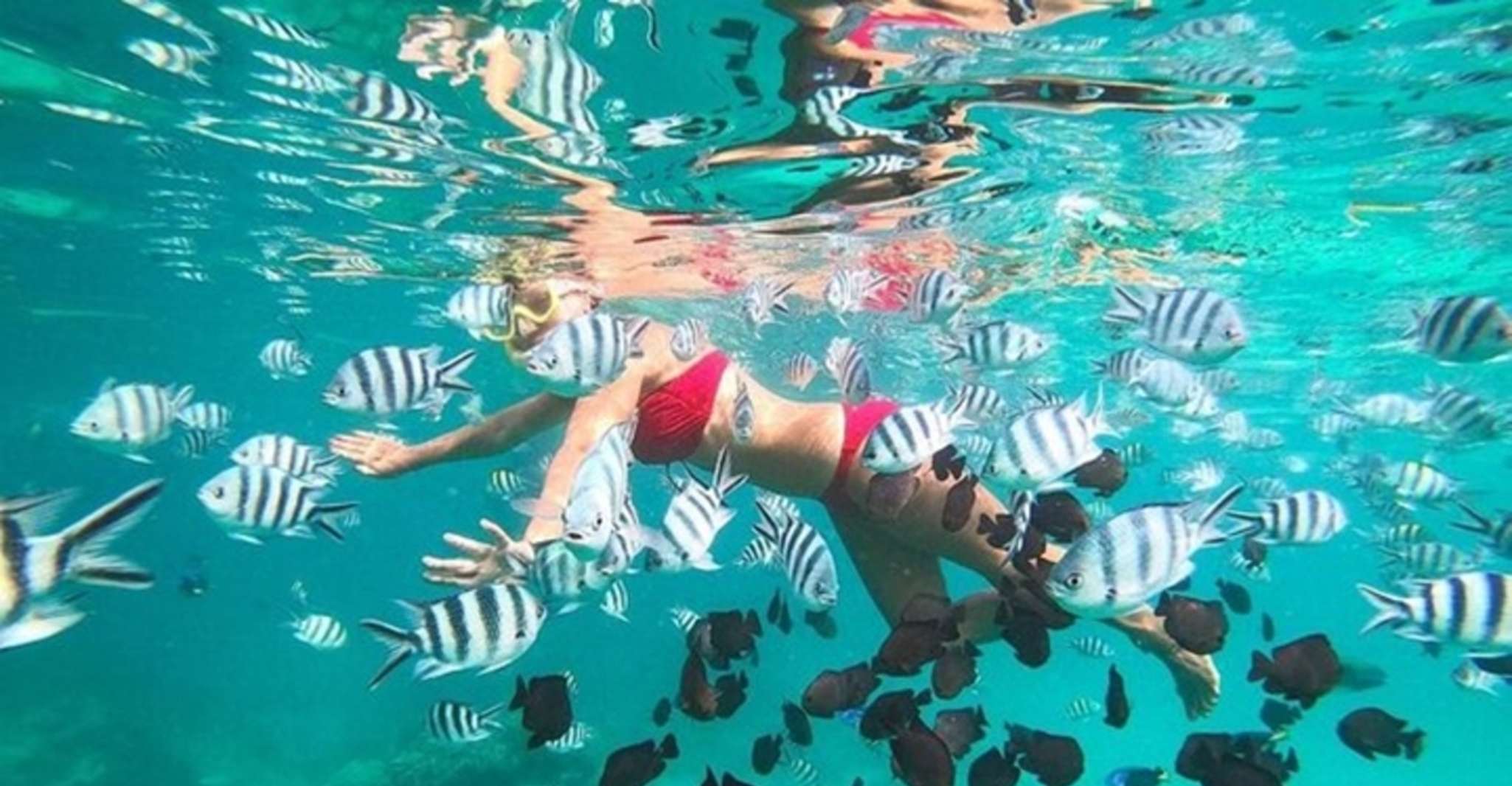 Zanzibar, Blue Fumba Safaris d'une journée complète avec le déjeuner (B.B.Q) - Hizvo