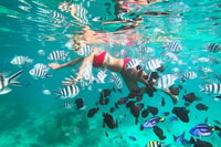 Zanzibar, Full-Day Safaris Blue Fumba con pranzo (B.B.Q) - Hizvo
