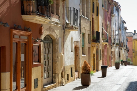 Półdniowa prywatna podróż do Tarragona Gems