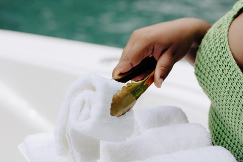 Montego Bay: Yacht Tour with Food, Drinks & Swimming Stop