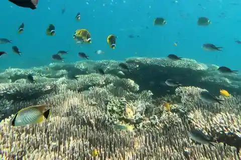 Bali: Błękitna Laguna i Tanjung Jepun Snorkeling Tour