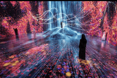 Abu Dhabi: Blue Mosque & teamLab Phenomena Tour with Entry Abudhabi: Full Day Premium Pass Tour With 24K Gold Coffee