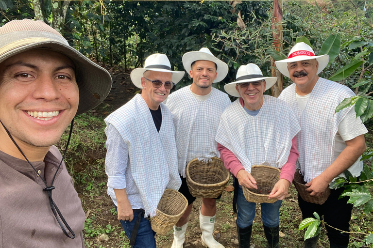 From Medellín: Half Day Private Coffee Tour