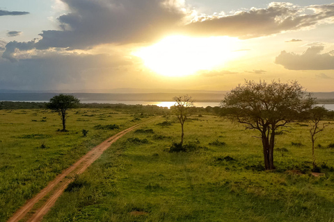 6-Day Kibale, Queen Elizabeth & Murchison Tour