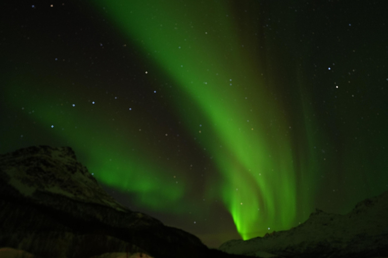 Tromsø: Northern Light guided Tour with free photos.