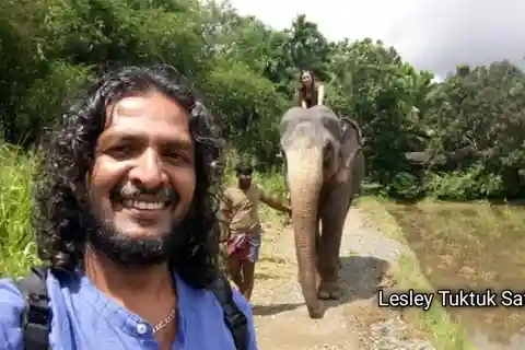 From Kandy: Pinnawala Elephant Orphanage Day Trip