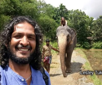 Kandy: Pinnawala Olifantensafari met rondleiding door Kandy