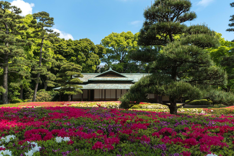 Tour panoramico privato di Tokyo con autista parlante inglese