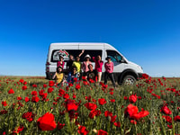 Highlights Tour in Kazakhstan - Housity