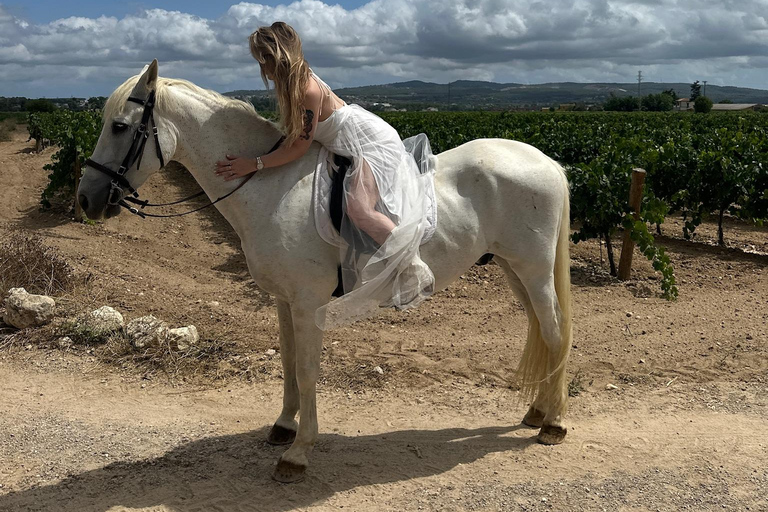 Alicante: Private Horseback Ride & Picnic with Transfer