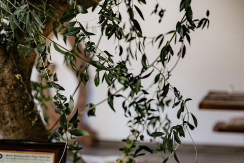 Corfou : Expérience de l'huile d'olive - Le moulin à huile du gouverneurCorfou : découverte huile d'olive au Governor's Olive Mill