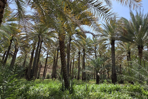 Muscat: Private Fanja Village, Souq, and Wadi Tayeen Tour