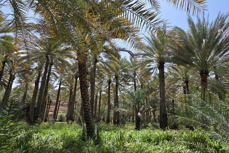 Muscat: Private Fanja Village, Souq, and Wadi Tayeen Tour