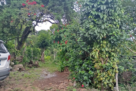 Ahuachapan Coffee Farm Tour with Lunch!