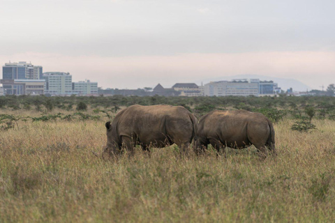 Nairobi National Park: Sunrise or Sunset Game Drive Tour