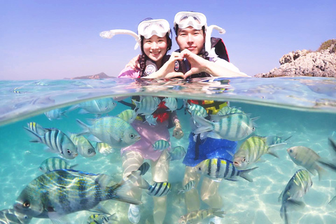 Snorkel &amp; Chill: wycieczka na wyspę Nemo z PattayaNurkowanie z rurką i relaks: wycieczka na wyspę Nemo z Pattaya