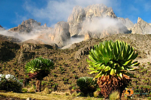 From Nairobi: Kya Mwilu Hills Guided Hike with Picnic Lunch