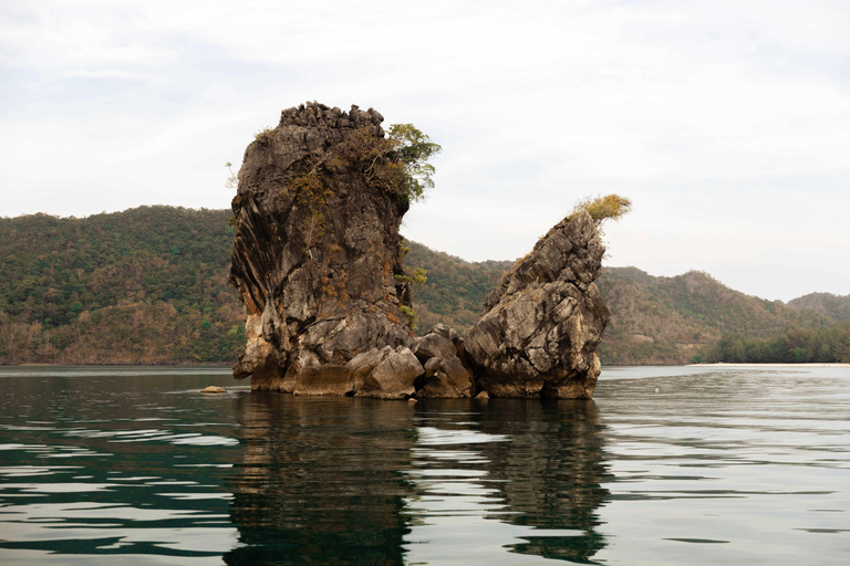 Langkawi: Kilim Geoforest Park Mangrove Boat Tour - 3 Hour