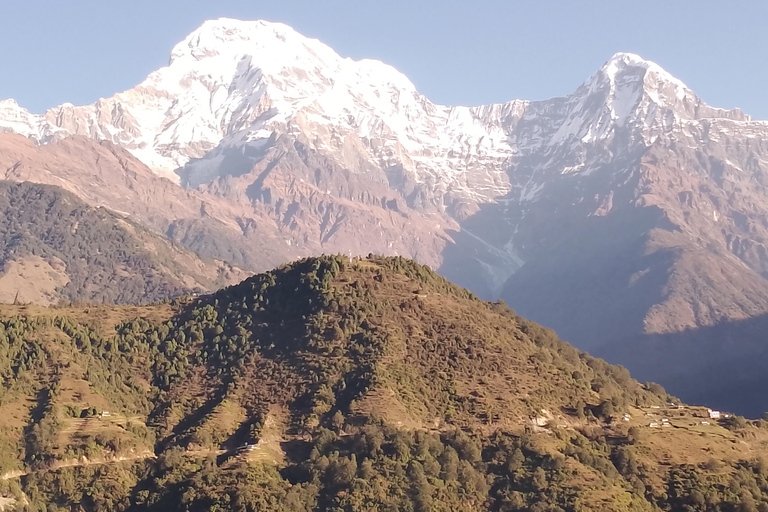 From Pokhara: 3 Night 4 Days Ghandruk Poon Hill Trek