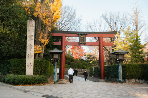 Old Tokyo: Yanaka & Nezu Shrine Guided Walking Tour