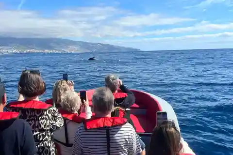 Funchal: Speedbåd SE ØEN OG LIVET TIL HAVS