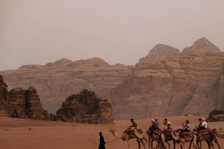 Dead Sea: Petra and Wadi Rum Day Trip with Jeep Tour