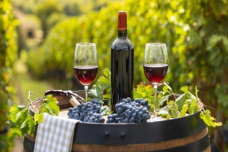 Fethiye: Yeşilüzümlü Village & Kadyanda City Tour