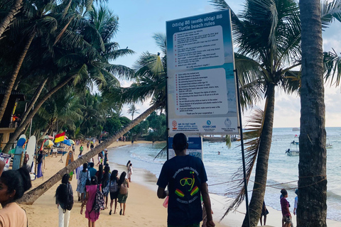 Galle Fort, Mask Museum, and Turtle Hatchery Day Trip