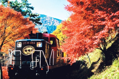 Z Osaki: jednodniowa wycieczka krajoznawcza do Kioto i malownicza przejażdżka pociągiemZ Osaki-Umeda z lunchem w formie bufetu