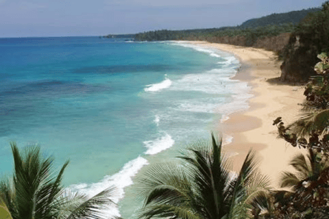 Private: Puerto Plata Culinary & Beach Relaxation Experience