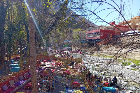 Marrakech : Private To Ourika Valley Atlas Mountains & Lunch Private Day Trip To Ourika Valley, Waterfalls With Lunch