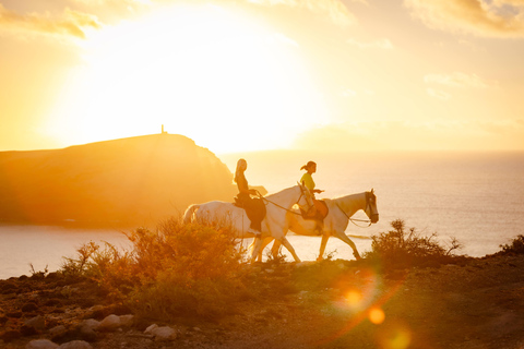 Isla de Porto Santo: Paseos a caballo180 min Aventura