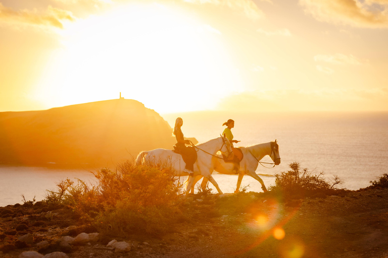 Isla de Porto Santo: Paseos a caballo180 min Aventura