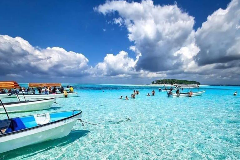 Zanzibar: Mnemba snorkelling and dolphin tour With Hotel Pickup from all Kendwa and Nungwi hotels