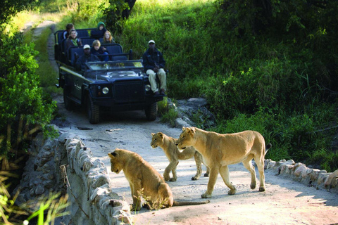 Johannesburgo: Parque Nacional Kruger de 3 días y Río Blyde ...